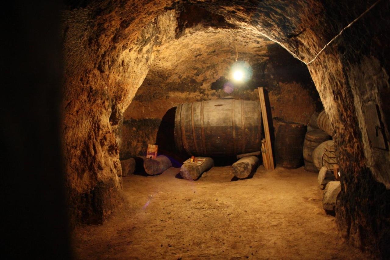 Casa Rural Marina Curiel de Duero 외부 사진